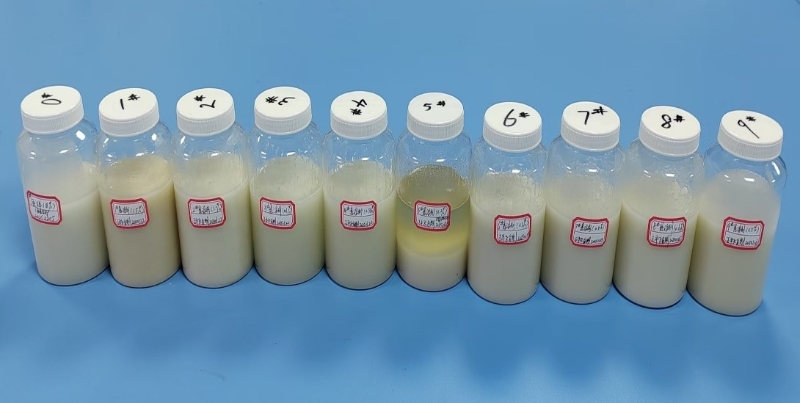 1740100500988000128.jpg 1739265897035-ys.jpg